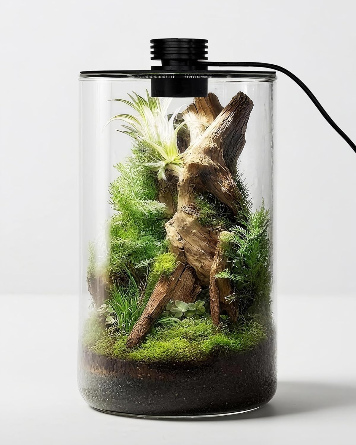 Home Office With Plants - Glazen terrarium voor binnen met groeilamp,