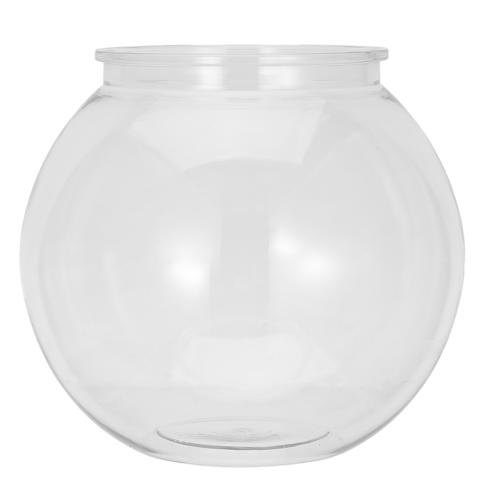 Mini Doorzichtige Plastic Succ - Home Office With Plants recensie en prijs