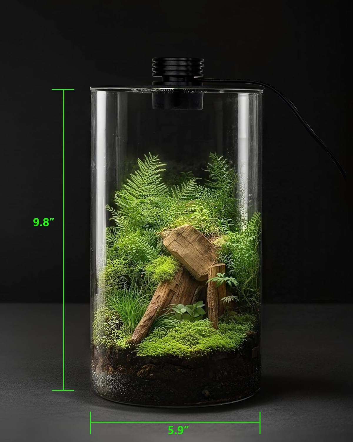 Glazen terrarium voor binnen m - Home Office With Plants recensie en prijs