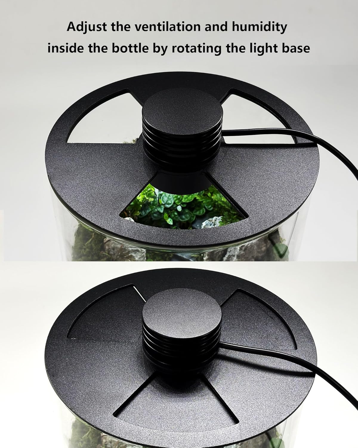 Glazen terrarium voor binnen m - Home Office With Plants recensie en prijs